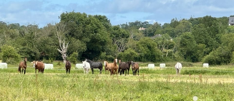 Haras 5 pièces de 126 m² à Trévières (14710)