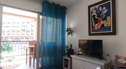 Appartement 1 pièce de 25 m² à Cannes (06150)