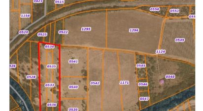 Land of 12,113 m² in Saint-Paul-de-Fenouillet (66220)