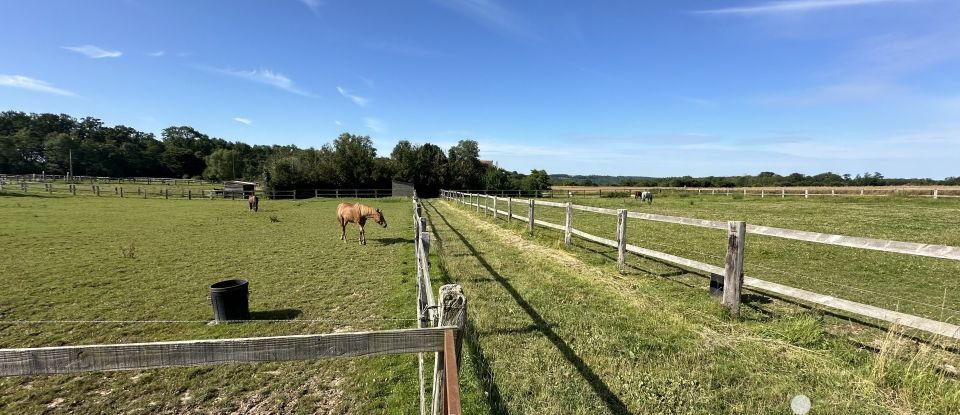 Equestrian facility 7 rooms of 223 m² in Bassevelle (77750)