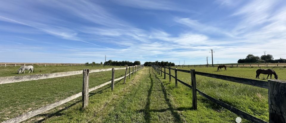 Equestrian facility 7 rooms of 223 m² in Bassevelle (77750)