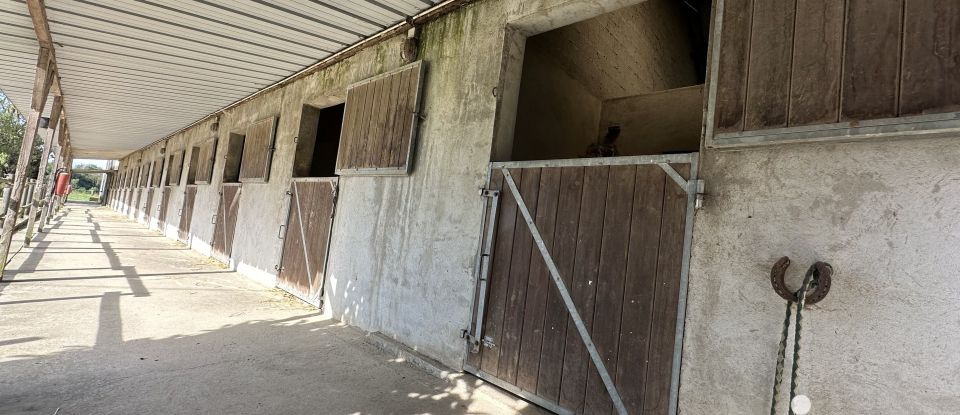 Equestrian facility 7 rooms of 223 m² in Bassevelle (77750)