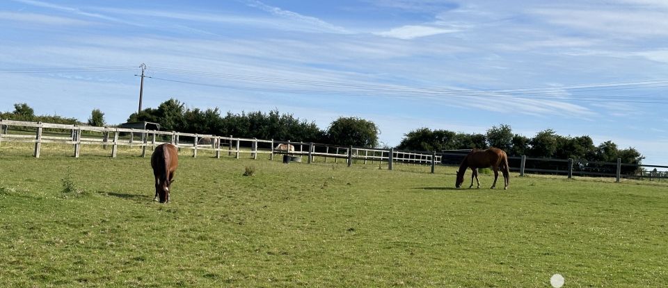 Equestrian facility 7 rooms of 223 m² in Bassevelle (77750)