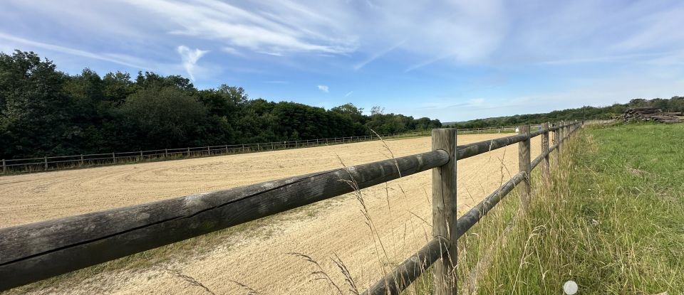 Equestrian facility 7 rooms of 223 m² in Bassevelle (77750)