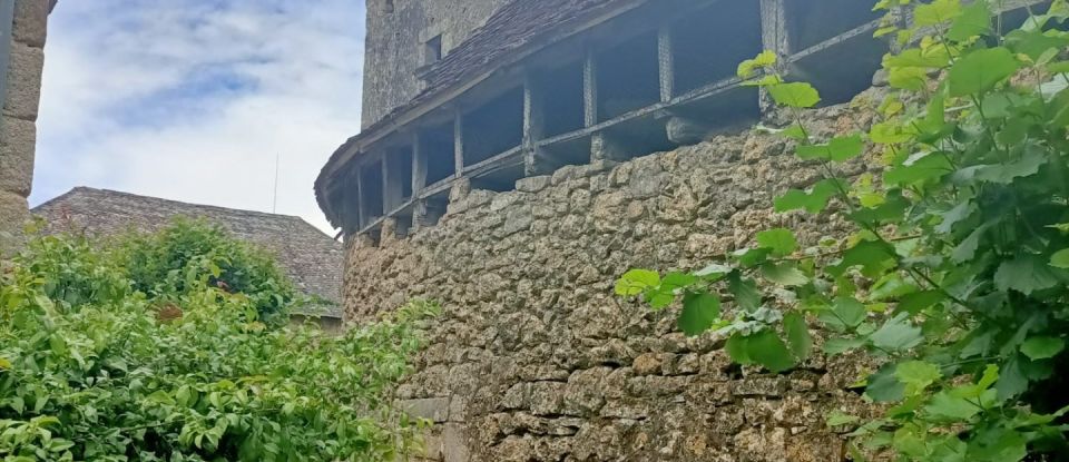 Barn conversion 2 rooms of 300 m² in La Chapelle-aux-Saints (19120)