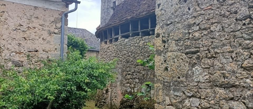 Barn conversion 2 rooms of 300 m² in La Chapelle-aux-Saints (19120)