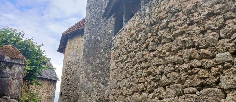 Barn conversion 2 rooms of 300 m² in La Chapelle-aux-Saints (19120)