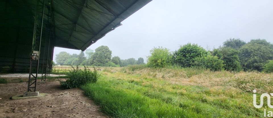 Maison de campagne 4 pièces de 120 m² à Domléger-Longvillers (80370)