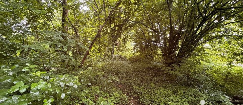 Terrain de 2 352 m² à Ladignac-le-Long (87500)