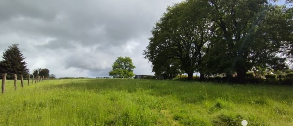 Maison de campagne 11 pièces de 258 m² à Elven (56250)