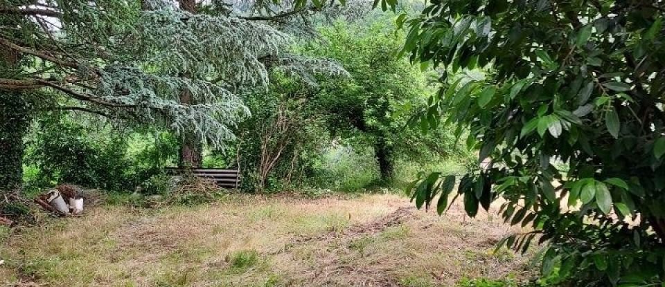 Terrain de 6 073 m² à Châteauneuf (42800)