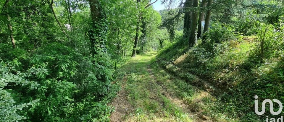 Terrain de 6 073 m² à Châteauneuf (42800)