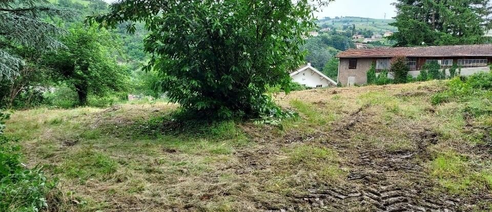 Terrain de 6 073 m² à Châteauneuf (42800)