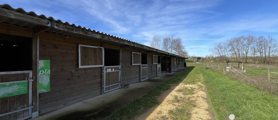 Maison de campagne 10 pièces de 260 m² à Beaumontois en Périgord (24440)