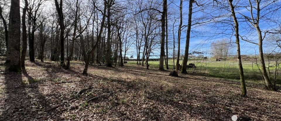 Maison de campagne 10 pièces de 260 m² à Beaumontois en Périgord (24440)