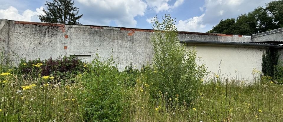 Commercial walls of 455 m² in Ouzouer-sur-Loire (45570)