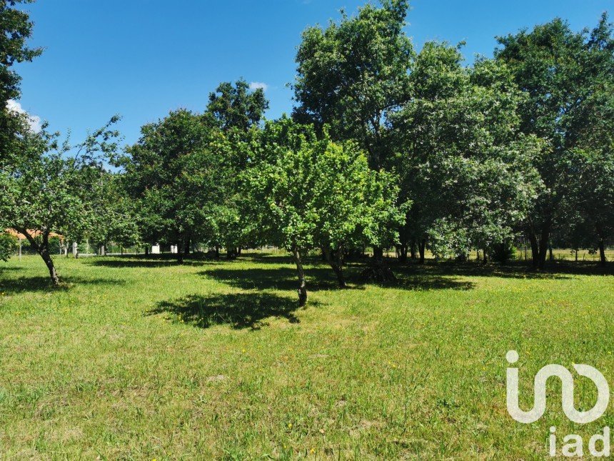 Terrain de 1 600 m² à Bussac-Forêt (17210)