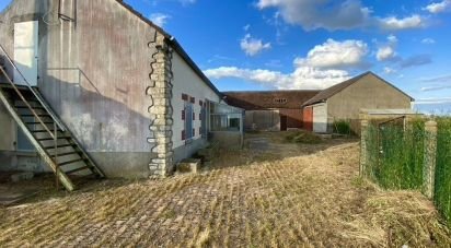 Ferme 4 pièces de 83 m² à Beaune-la-Rolande (45340)