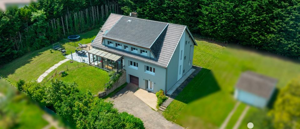 Maison 8 pièces de 262 m² à Boulay-Moselle (57220)