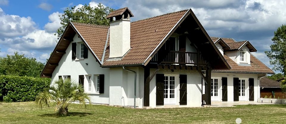 Maison traditionnelle 8 pièces de 230 m² à Rion-des-Landes (40370)