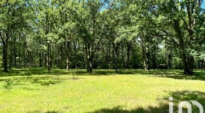 Land of 5,348 m² in Montfort-l'Amaury (78490)