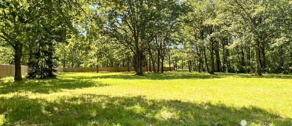 Land of 5,348 m² in Montfort-l'Amaury (78490)