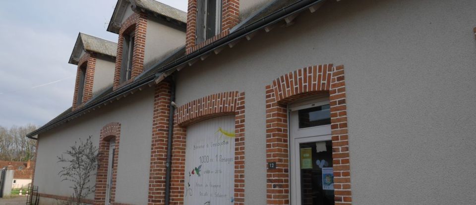 Murs commerciaux de 300 m² à Neung-sur-Beuvron (41210)