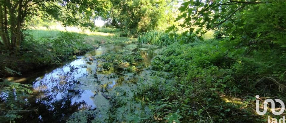 Terrain de 2 750 m² à Néré (17510)