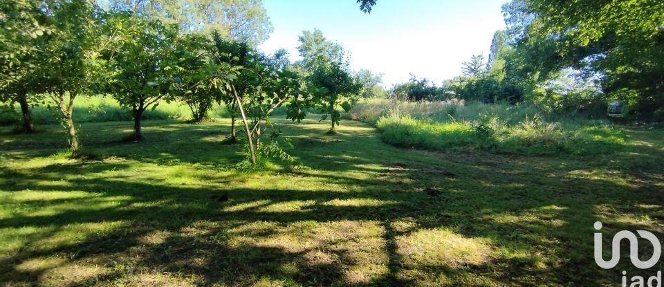 Terrain de 2 750 m² à Néré (17510)