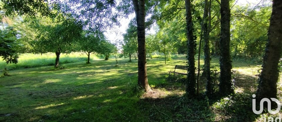 Terrain de 2 750 m² à Néré (17510)