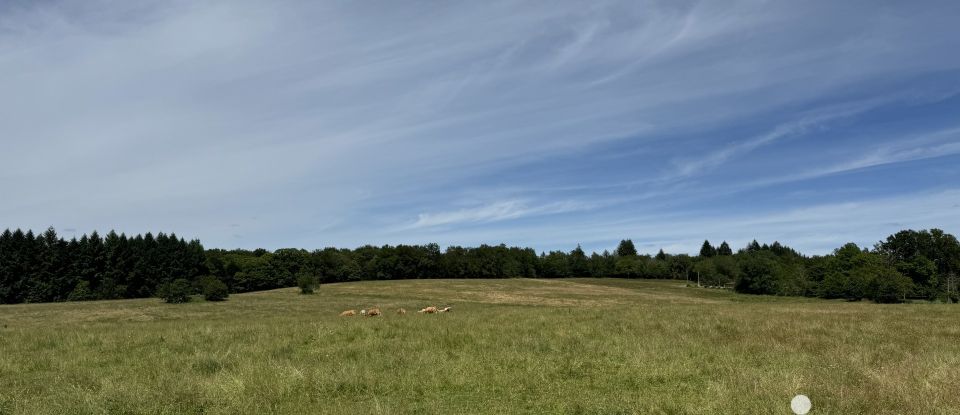 Maison traditionnelle 5 pièces de 148 m² à Anglars (46120)