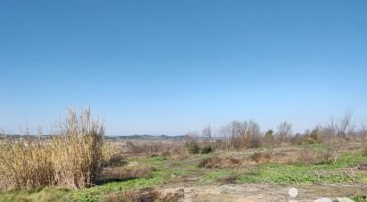 Agricultural land of 9,000 m² in Tourbes (34120)