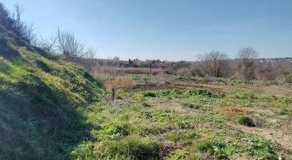 Agricultural land of 9,000 m² in Tourbes (34120)