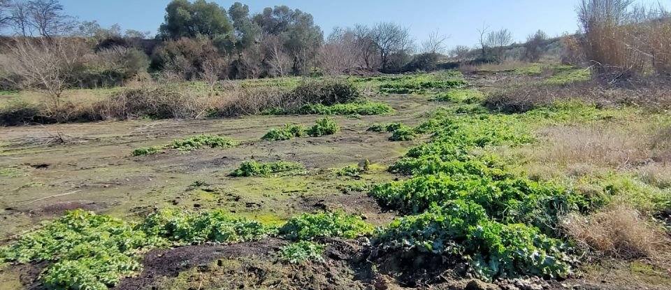 Agricultural land of 9,000 m² in Tourbes (34120)