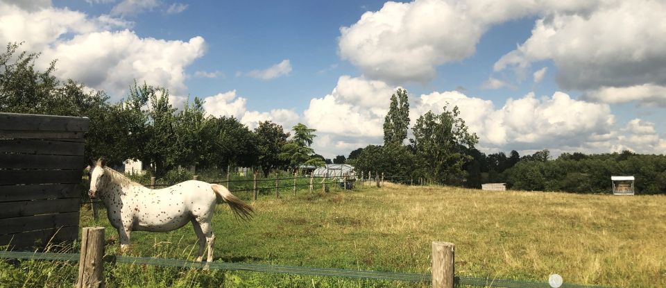 Maison traditionnelle 8 pièces de 186 m² à La Flèche (72200)