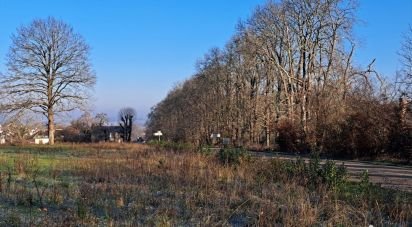 Terrain de 765 m² à Seignelay (89250)