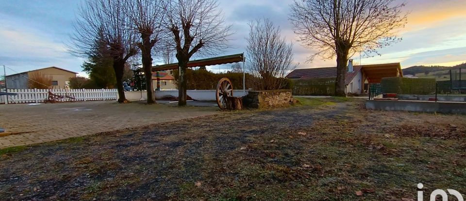 Murs commerciaux de 420 m² à Saint-Georges-Lagricol (43500)