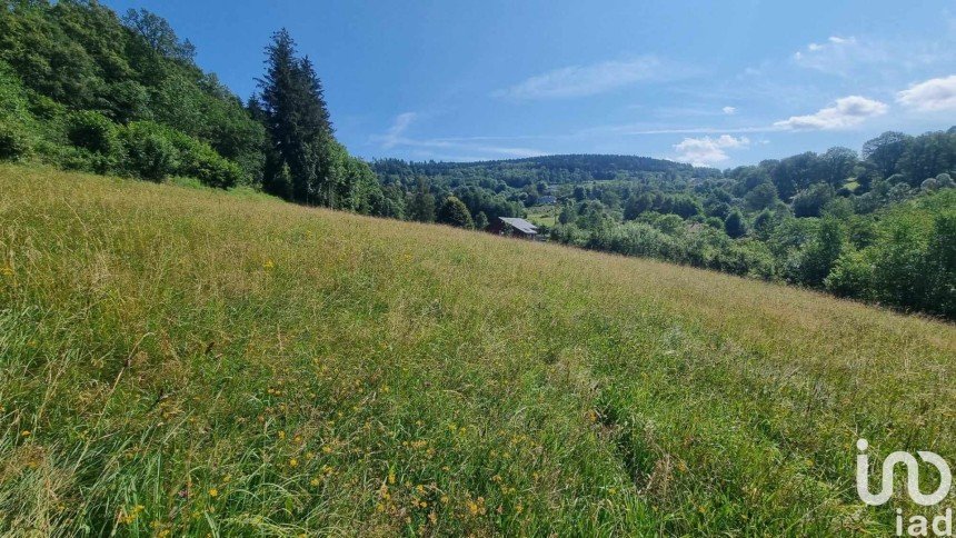 Terrain de 11 727 m² à Fraize (88230)