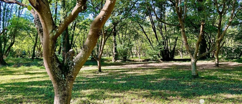 Moulin 9 pièces de 249 m² à Soublecause (65700)