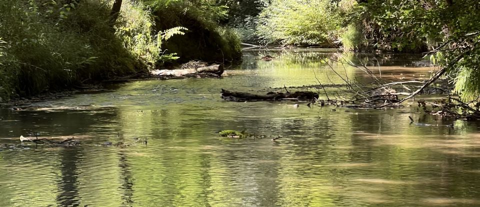 Moulin 9 pièces de 249 m² à Soublecause (65700)