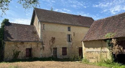 Maison 8 pièces de 275 m² à Ternay (41800)