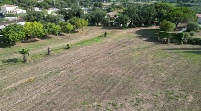 Terrain de 1 196 m² à Fréjus (83600)