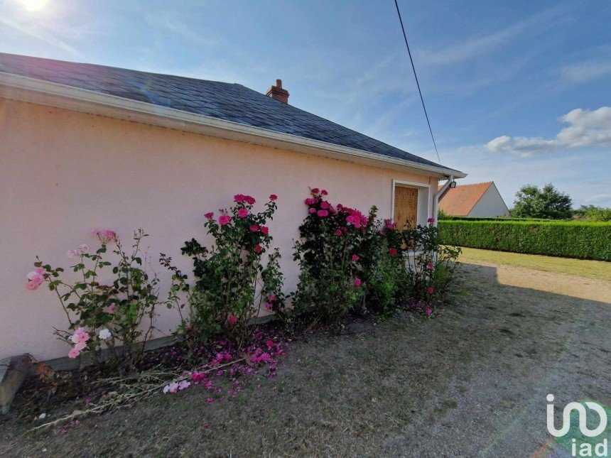 House 4 rooms of 86 m² in Saint-Benoît-sur-Loire (45730)