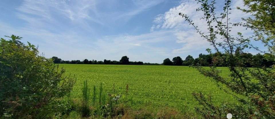 Country house 9 rooms of 198 m² in Mozé-sur-Louet (49610)