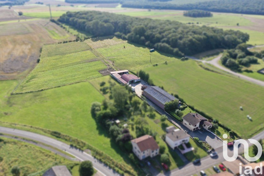 Domaine 5 pièces de 159 m² à Boust (57570)