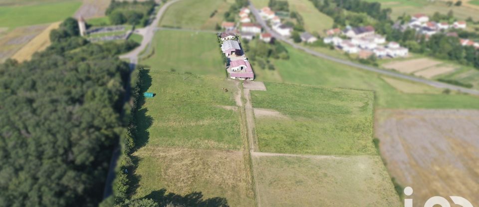 Domaine 5 pièces de 159 m² à Boust (57570)