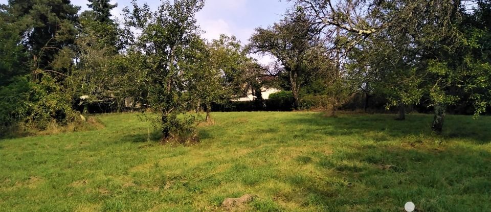 Terrain de 2 071 m² à Mézilles (89130)