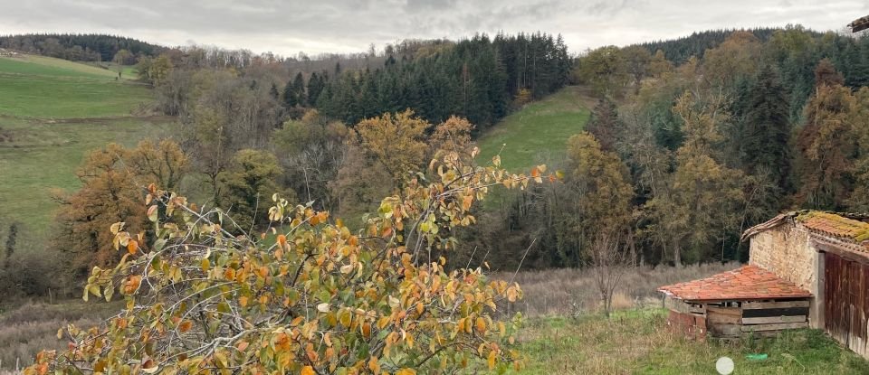 Ferme 5 pièces de 202 m² à Saint-Laurent-de-Chamousset (69930)