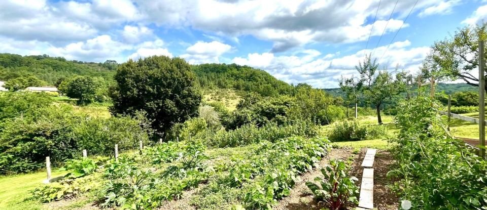 Domaine 11 pièces de 270 m² à Grun-Bordas (24380)