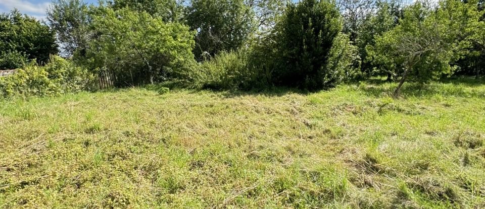 Terrain de 1 162 m² à La Ferté-Gaucher (77320)